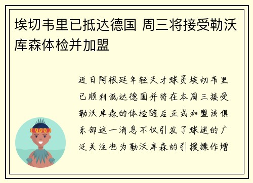 埃切韦里已抵达德国 周三将接受勒沃库森体检并加盟